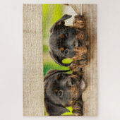 Cute Rottweiler Puppies Dog Animal Natuur Legpuzzel (Verticaal)