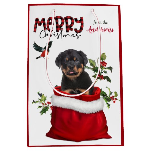 Cute Rottweiler Puppy Dog Kerstmis Medium Cadeauzakje (Voorkant)