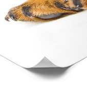 Cute rottweiler puppy poster (Hoek)