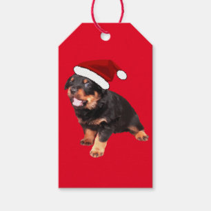 Cute Rottweiler Puppy Wearing Cartoon Santa Hat Cadeaulabel