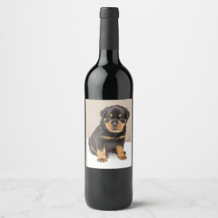 Cute Rottweiler Puppy Wijn Etiket