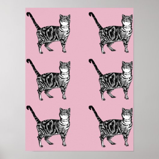 Cute Roze Gestreepte Tabby Kat Katten Poster Kunst (Voorkant)