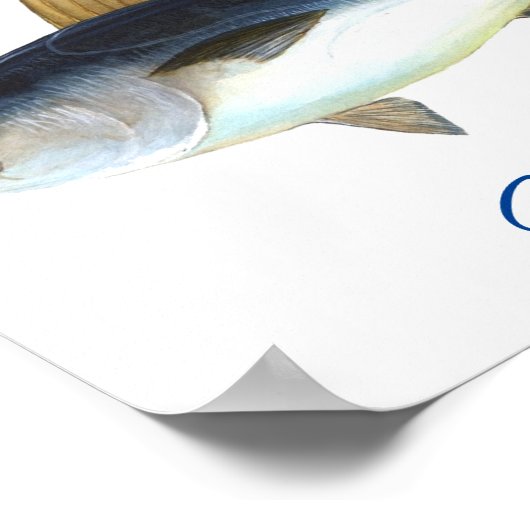 Cute roze mermaid Thunder_Cove Poster (Hoek)