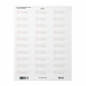 Cute Roze Strik Retouradres Etiket (Full Sheet)