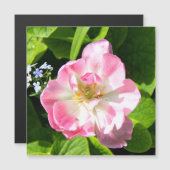 Cute roze tulp (Voorkant / Achterkant)
