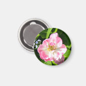 Cute roze tulp magneet (Voorkant / Achterkant)