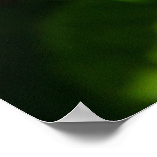 Cute roze tulp poster (Hoek)