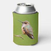 Cute Rufous Hummingbird on California Lila Blikjeskoeler (Blikje Achterkant)