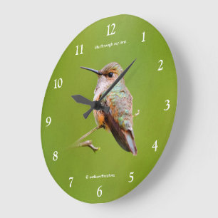 Cute Rufous Hummingbird on California Lila Grote Klok