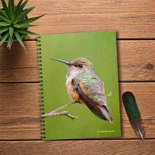 Cute Rufous Hummingbird on California Lila Notitieboek