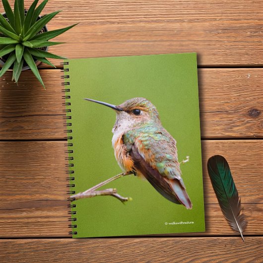 Cute Rufous Hummingbird on California Lila Notitieboek