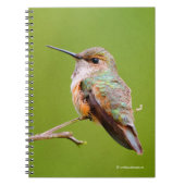 Cute Rufous Hummingbird on California Lila Notitieboek (Voorkant)