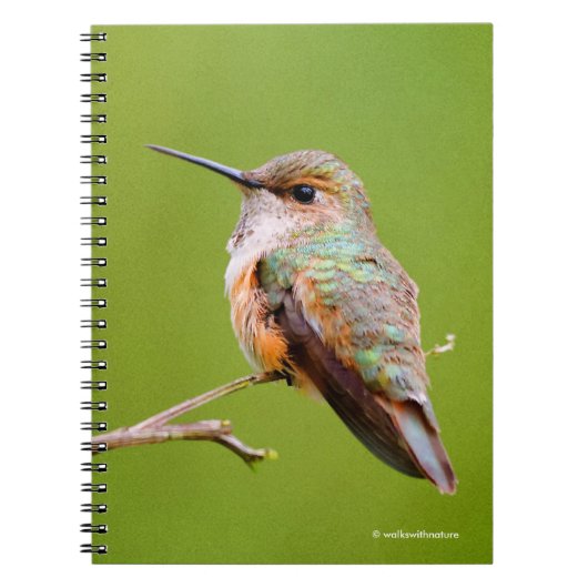Cute Rufous Hummingbird on California Lila Notitieboek (Voorkant)