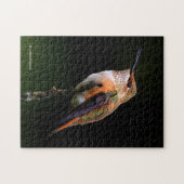 Cute Rufous Hummingbird on Fruit Tree Legpuzzel (Horizontaal)