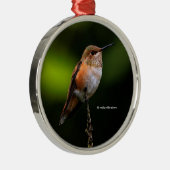 Cute Rufous Hummingbird on Fruit Tree Metalen Ornament (Rechts)