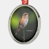 Cute Rufous Hummingbird on Fruit Tree Metalen Ornament (Links)