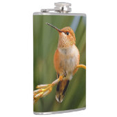 Cute Rufous Hummingbird Perst op Vloer Heupfles (Rechts)