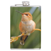 Cute Rufous Hummingbird Perst op Vloer Heupfles (Voorkant)