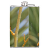 Cute Rufous Hummingbird Perst op Vloer Heupfles (Achterkant)