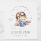 Cute Rust Navy Plane Stars Sky Teddy Kids Birthday Wijn Etiket (Enkel label)