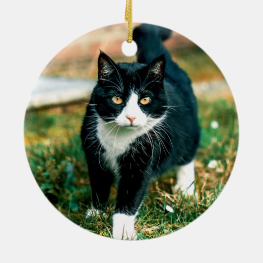 Cute Rustieke Kat Of Hond Huisdier Foto Herdenking Keramisch Ornament (Achterkant)