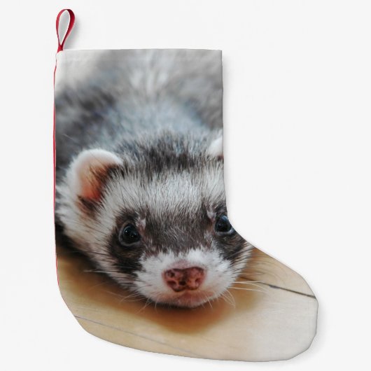 Cute Sable Ferret Kleine Kerstsok (Voorkant)