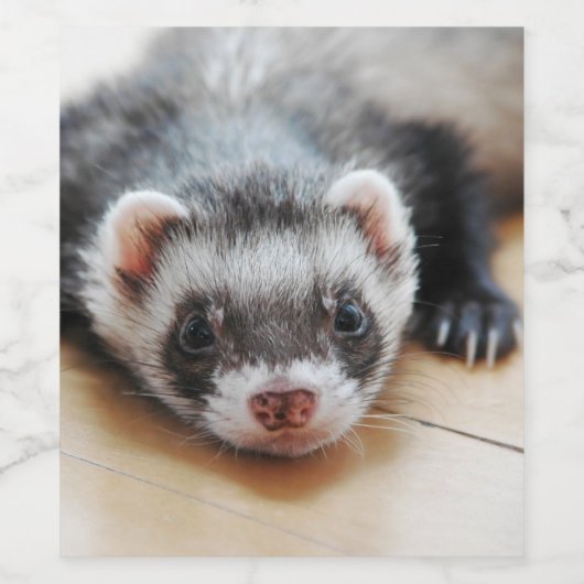 Cute Sable Ferret Wijn Etiket (Enkel label)