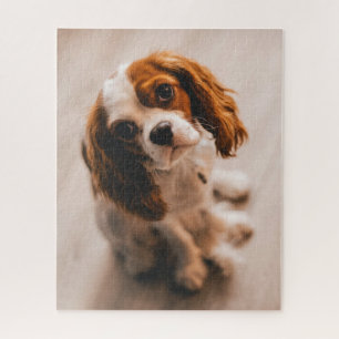 Cute Sad Eyes Red White Cocker Spaniel Puppy Dog Legpuzzel