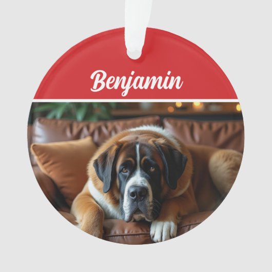 Cute Saint Bernard Dog Holiday Christmas Photo Ornament (voorkant)