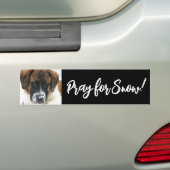 Cute Saint Bernard Pray voor sneeuw! Bumpersticker (Op auto)