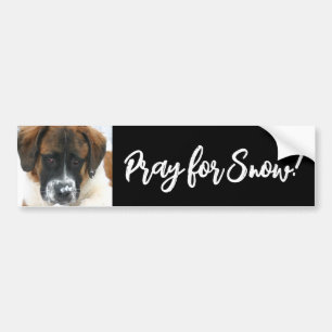 Cute Saint Bernard Pray voor sneeuw! Bumpersticker
