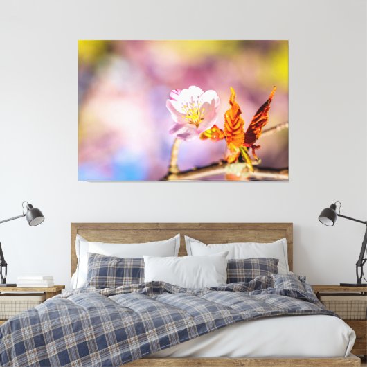 Cute Sakura Flower Canvas Afdruk (Insitu (Slaapkamer))