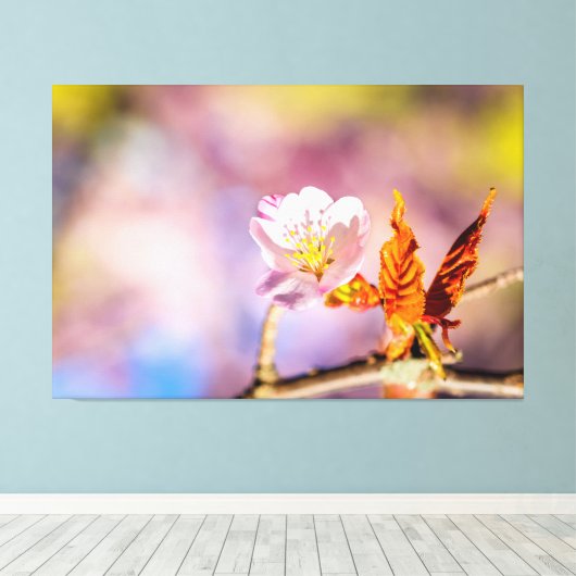 Cute Sakura Flower Canvas Afdruk (Insitu (Houten vloer))