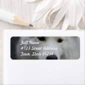 Cute Samoyed Mailing Labels (Insitu)