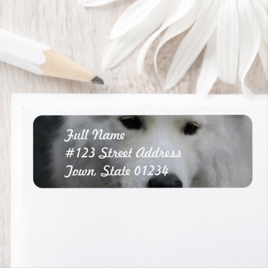 Cute Samoyed Mailing Labels (Insitu)
