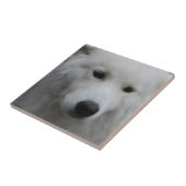 Cute Samoyed Tile Tegeltje (Zijkant)