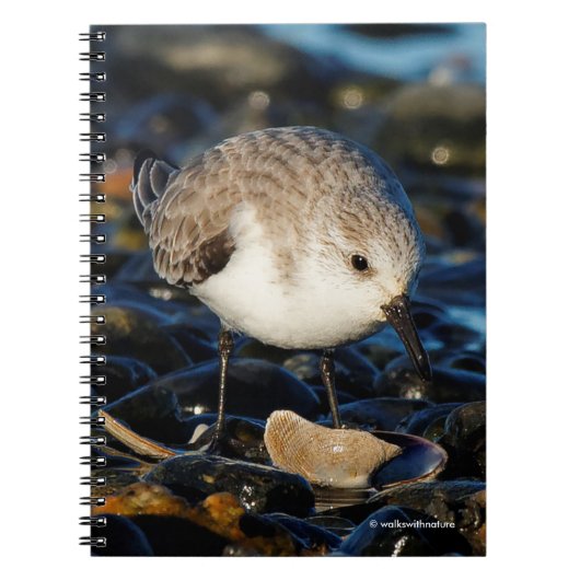 Cute Sanderling Dines op Clam bij Beach Notitieboek (Voorkant)