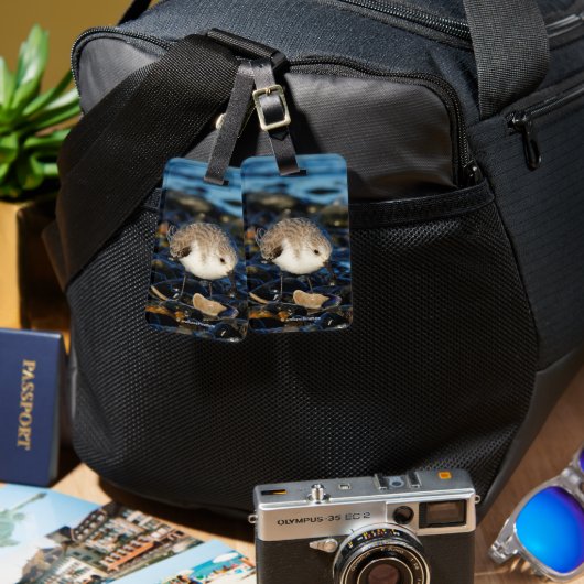 Cute Sanderling Enjoys Seafood Dining at the Beach Bagagelabel (Voorkant /achterkant)