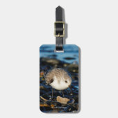 Cute Sanderling Enjoys Seafood Dining at the Beach Bagagelabel (Voorkant verticaal)