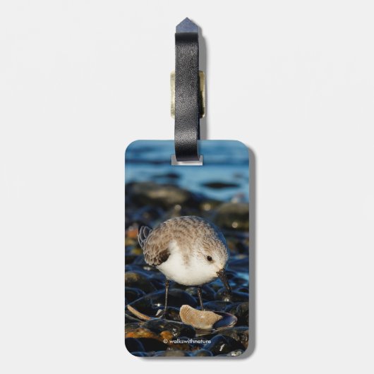 Cute Sanderling Enjoys Seafood Dining at the Beach Bagagelabel (Achterkant verticaal)