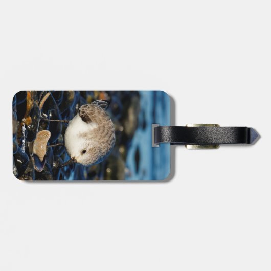 Cute Sanderling Enjoys Seafood Dining at the Beach Bagagelabel (Achterkant horizontaal)