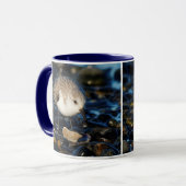 Cute Sanderling Enjoys Seafood Dining at the Beach Mok (Voorkant links)