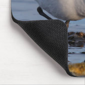 Cute Sanderling Sandpiper die een winterstrand afr Muismat (Hoek)