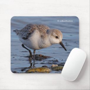 Cute Sanderling Sandpiper die een winterstrand afr Muismat