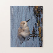 Cute Sanderling Sandpiper die op de kust aan het r Legpuzzel (Verticaal)