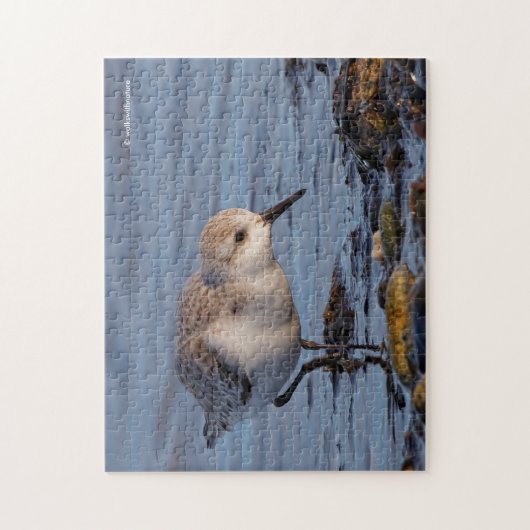 Cute Sanderling Sandpiper die op de kust aan het r Legpuzzel (Verticaal)