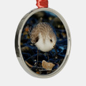 Cute Sanderling Sandpiper Enjoys Seaside Dining Metalen Ornament (Rechts)