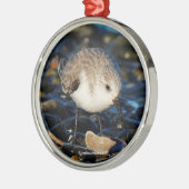 Cute Sanderling Sandpiper Enjoys Seaside Dining Metalen Ornament (Links)