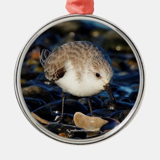 Cute Sanderling Sandpiper Enjoys Seaside Dining Metalen Ornament (Voorkant)
