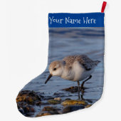 Cute Sanderling Sandpiper Strolling Wintry Shores Grote Kerstsok (Achterkant)